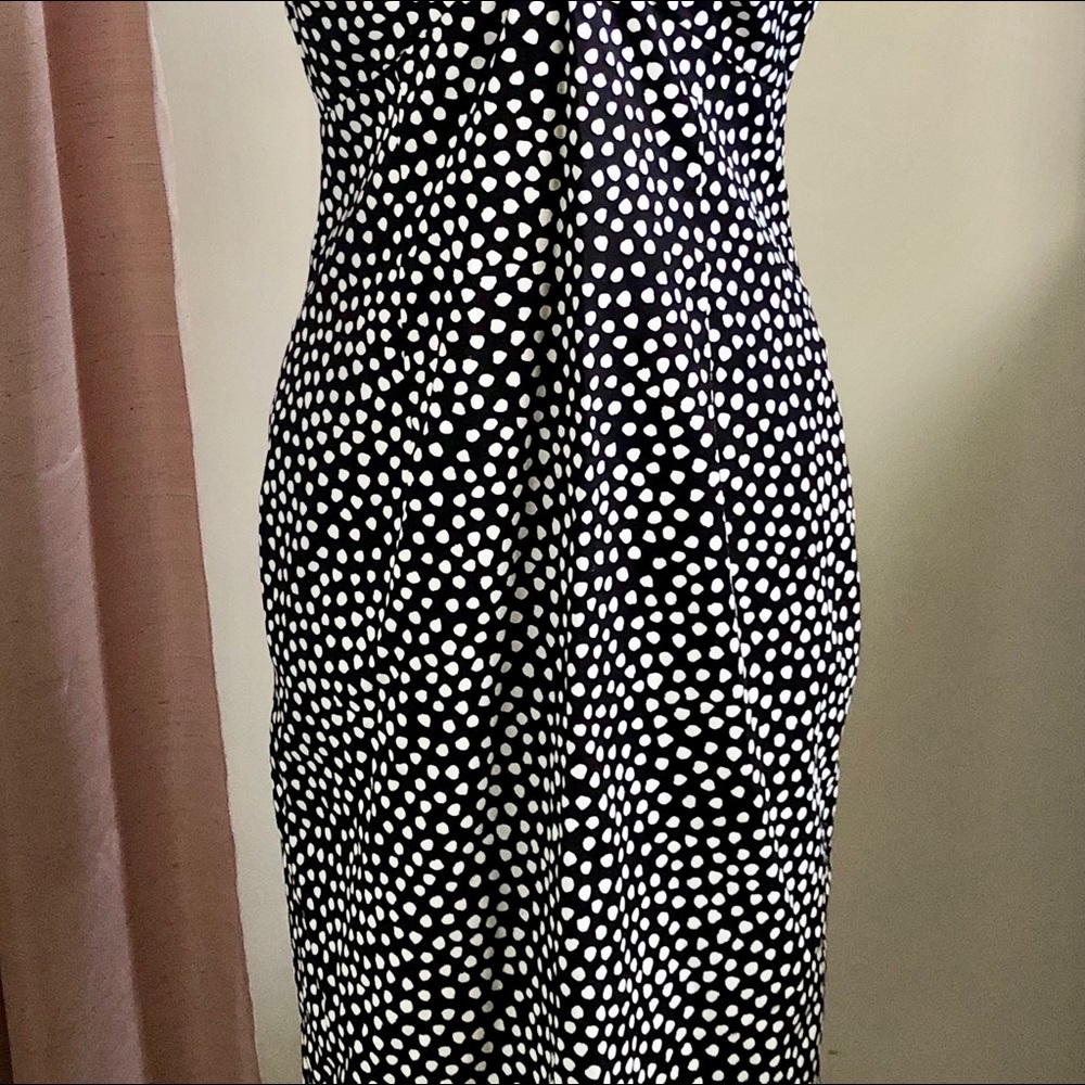 Howard Wolf - image 2